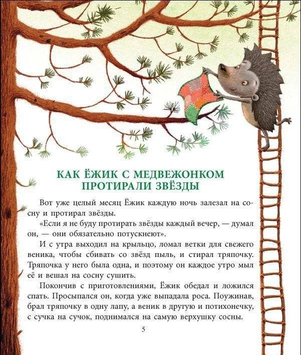 Как Ежик с Медвежонком протирали звезды фото книги 8