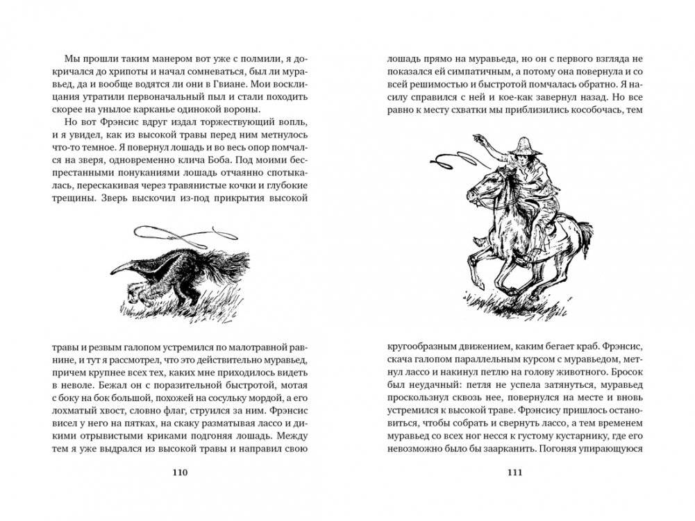 Три билета до Эдвенчер. Под пологом пьяного леса фото книги 5