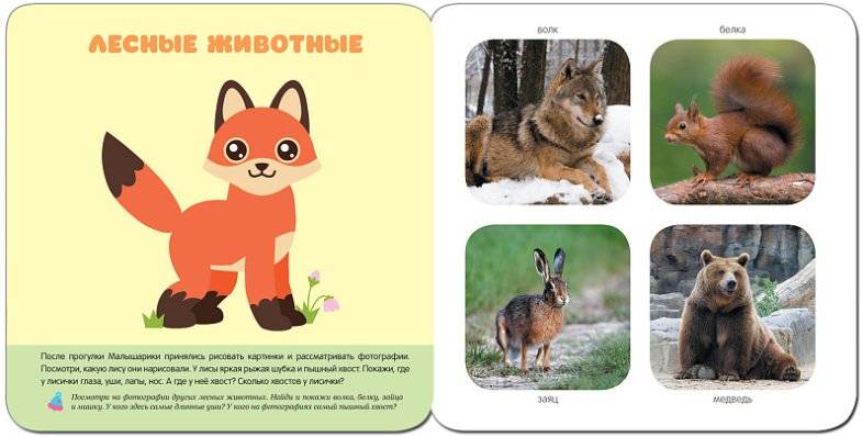 В лесу. Развивающая книга фото книги 2