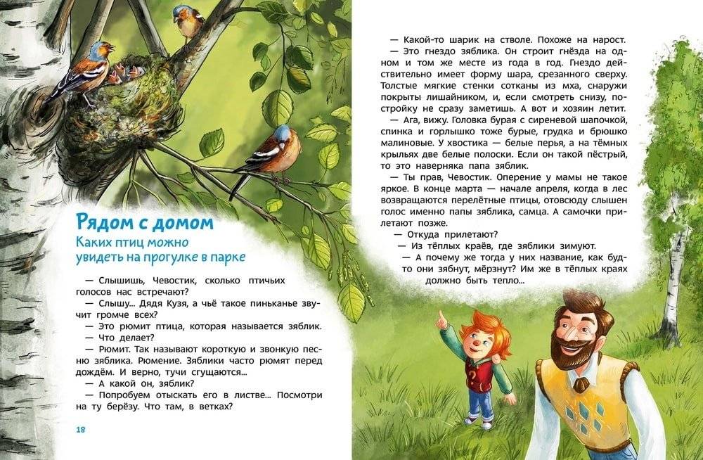 Птицы. Детская энциклопедия (Чевостик) фото книги 3