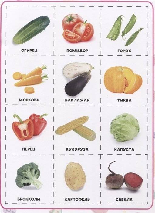 Разрезные элементы. Пять в одном. Овощи, фрукты и ягоды фото книги 2