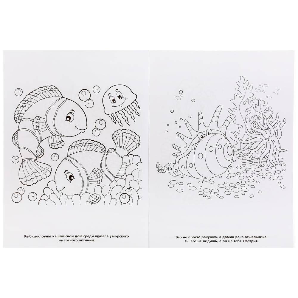 Морские животные фото книги 4