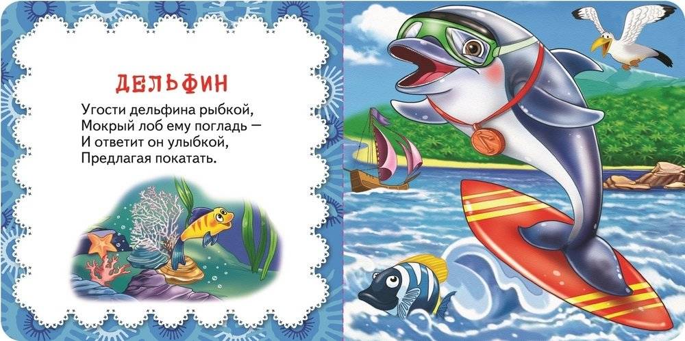 Панда фото книги 2