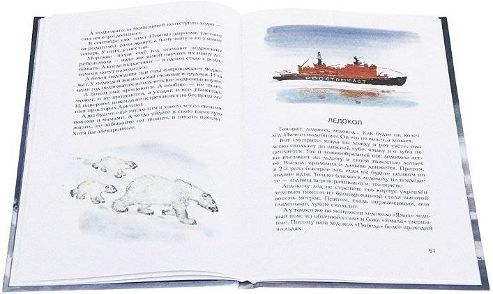 В гостях у белого медведя фото книги 2