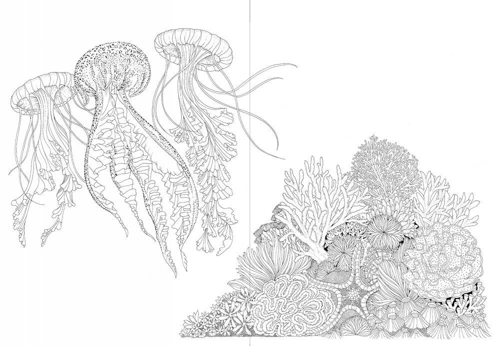 Leila Duly's Beautiful Planet: An Intricate Coloring Book фото книги 2