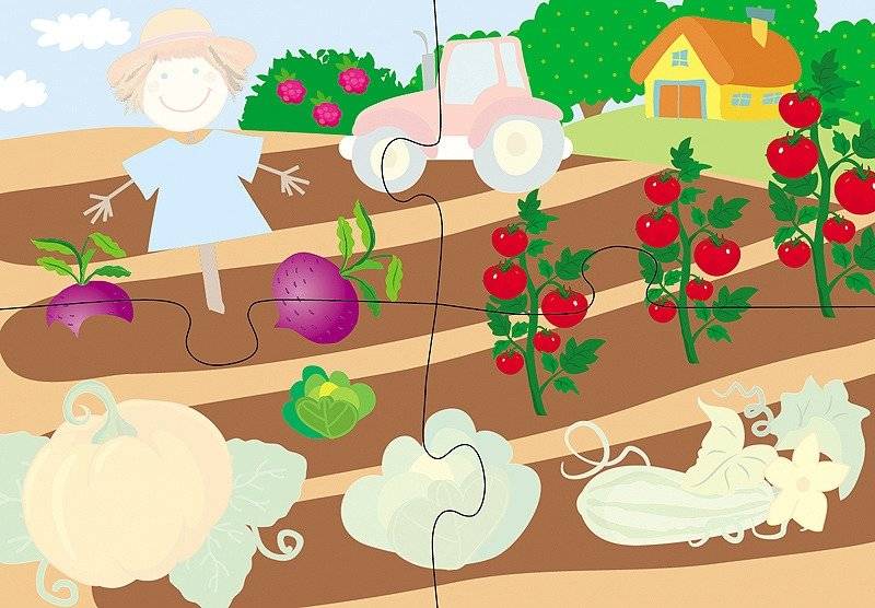 Пазл. Многоразовая водная раскраска. Во саду ли, в огороде фото книги 2