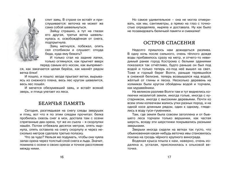 Лисичкин хлеб фото книги 4