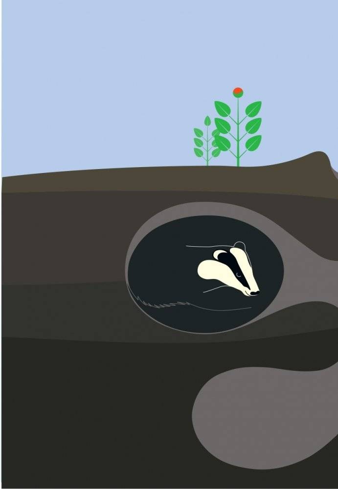 И утром, когда наступает день... фото книги 6