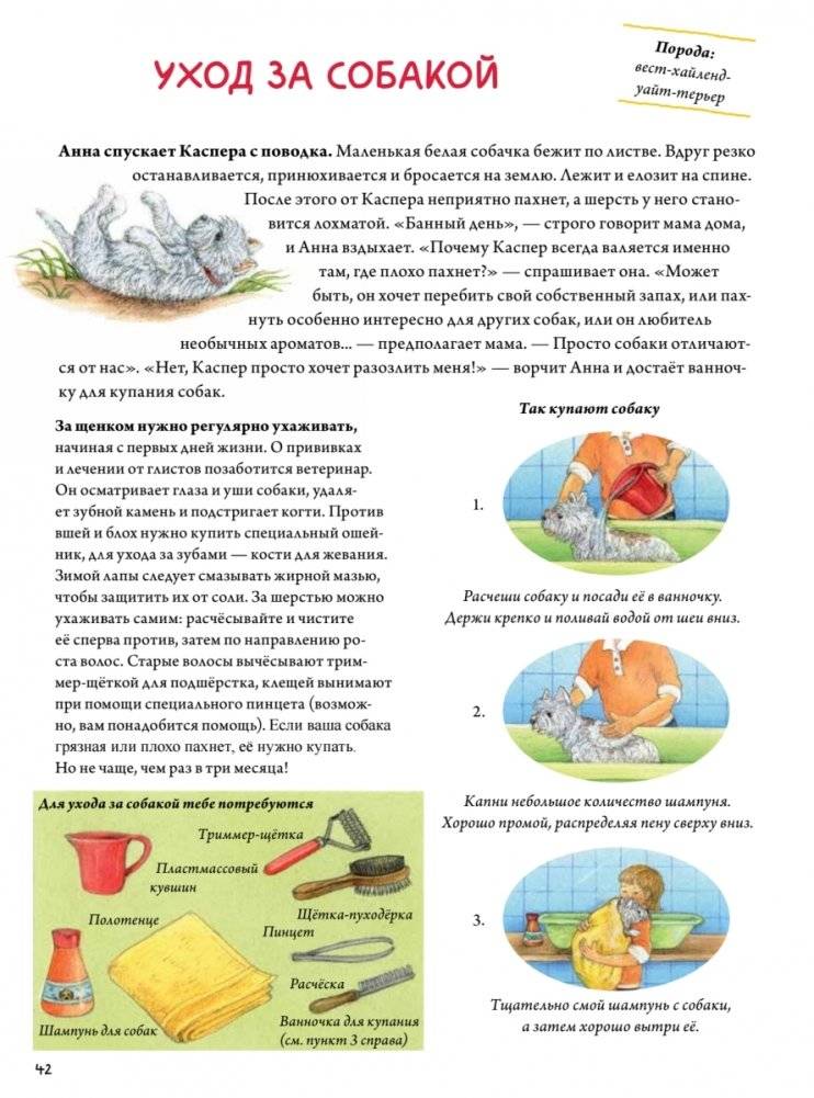 Моя самая красивая книга о кошках и собаках фото книги 13