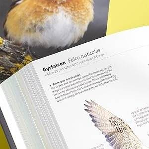 ID Handbook of European Birds фото книги 4