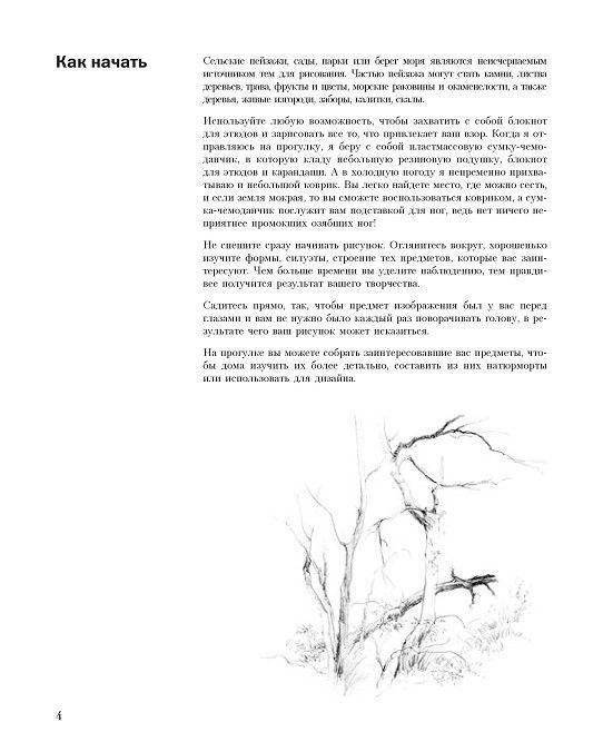 Учитесь рисовать природу фото книги 3