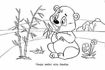 Зоопарк фото книги 2