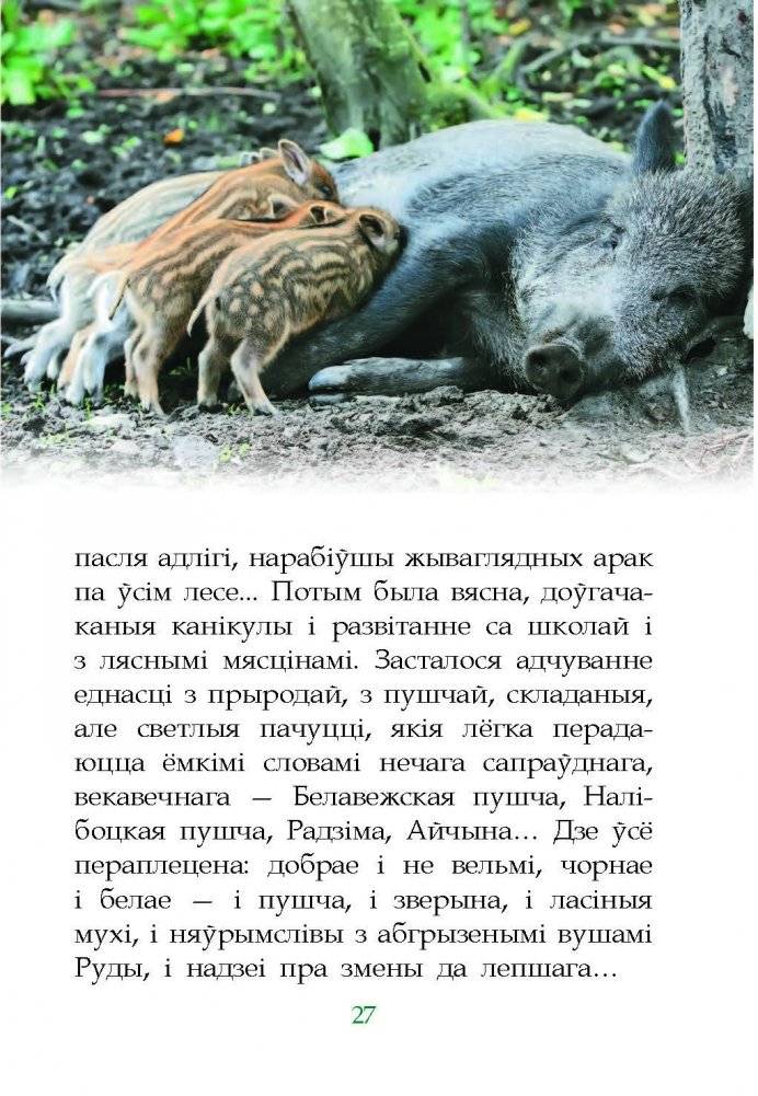 Дзе Нёман гамоніць з пушчай... фото книги 4