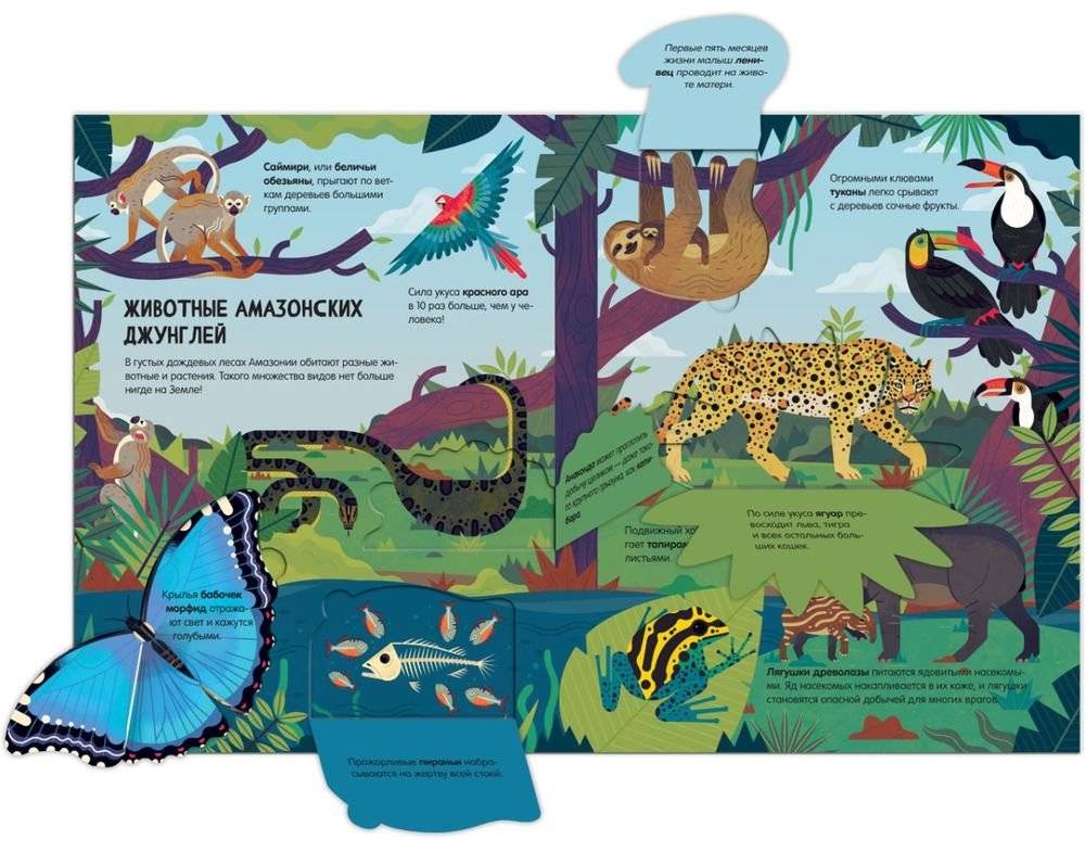 Животные. Энциклопедия с окошками фото книги 6