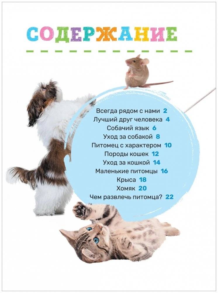 Домашние питомцы. Первая энциклопедия малыша фото книги 2