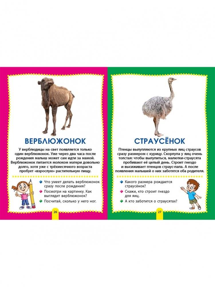 Детеныши животных. Фотокнига для самых маленьких фото книги 5