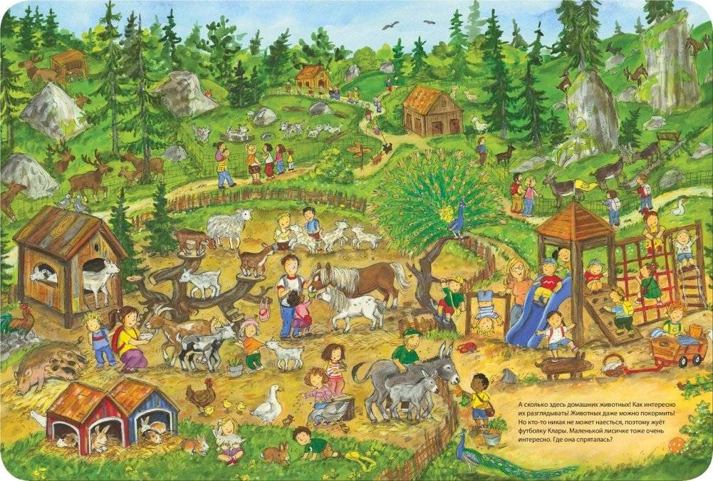 День на природе фото книги 3