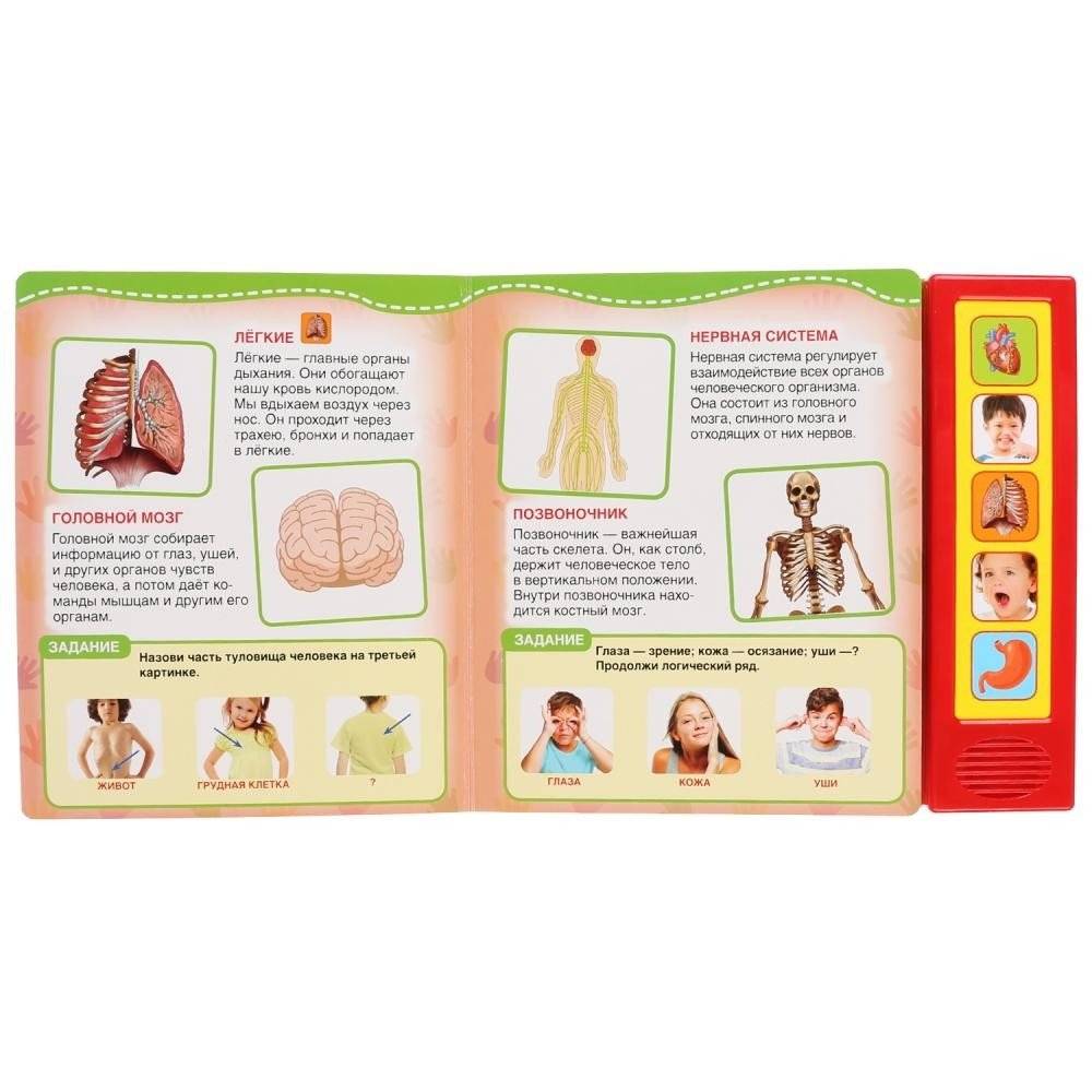 Тело человека фото книги 4