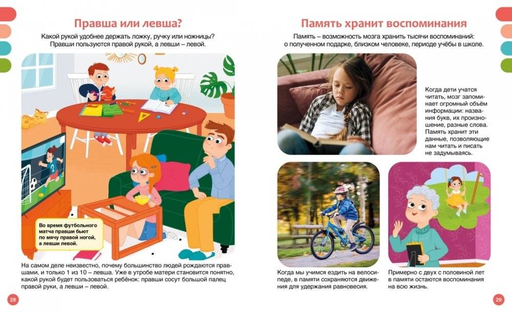 Как устроено тело человека фото книги 5