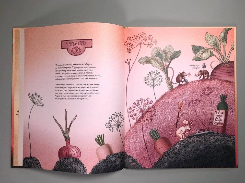 Мышка Чарли наводит порядок фото книги 4