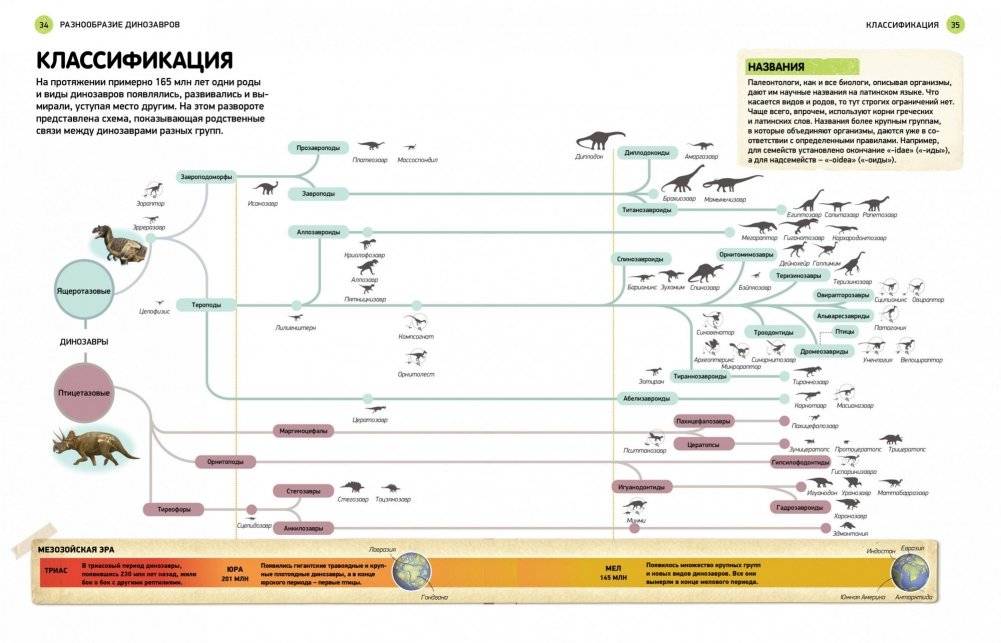 Всё о динозаврах. Энциклопедия фото книги 6