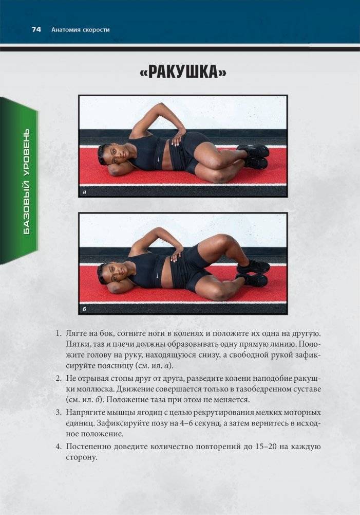 Анатомия скорости фото книги 12