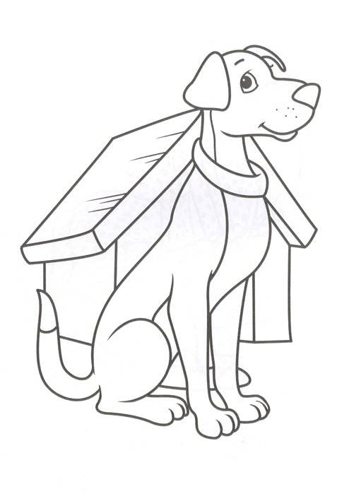 Раскраска. Животные фото книги 3