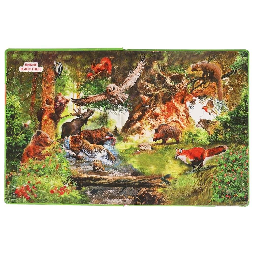 Книга с окошками "В мире животных" фото книги 2