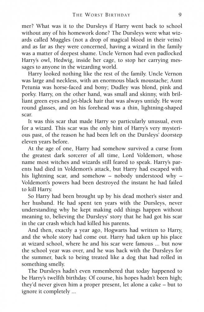 Harry Potter 2 and the Chamber of Secrets фото книги 7