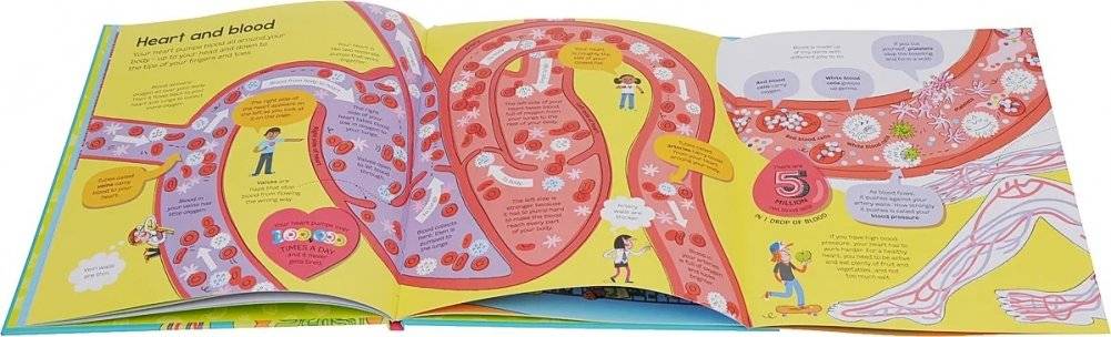 Big Book of the Body фото книги 3