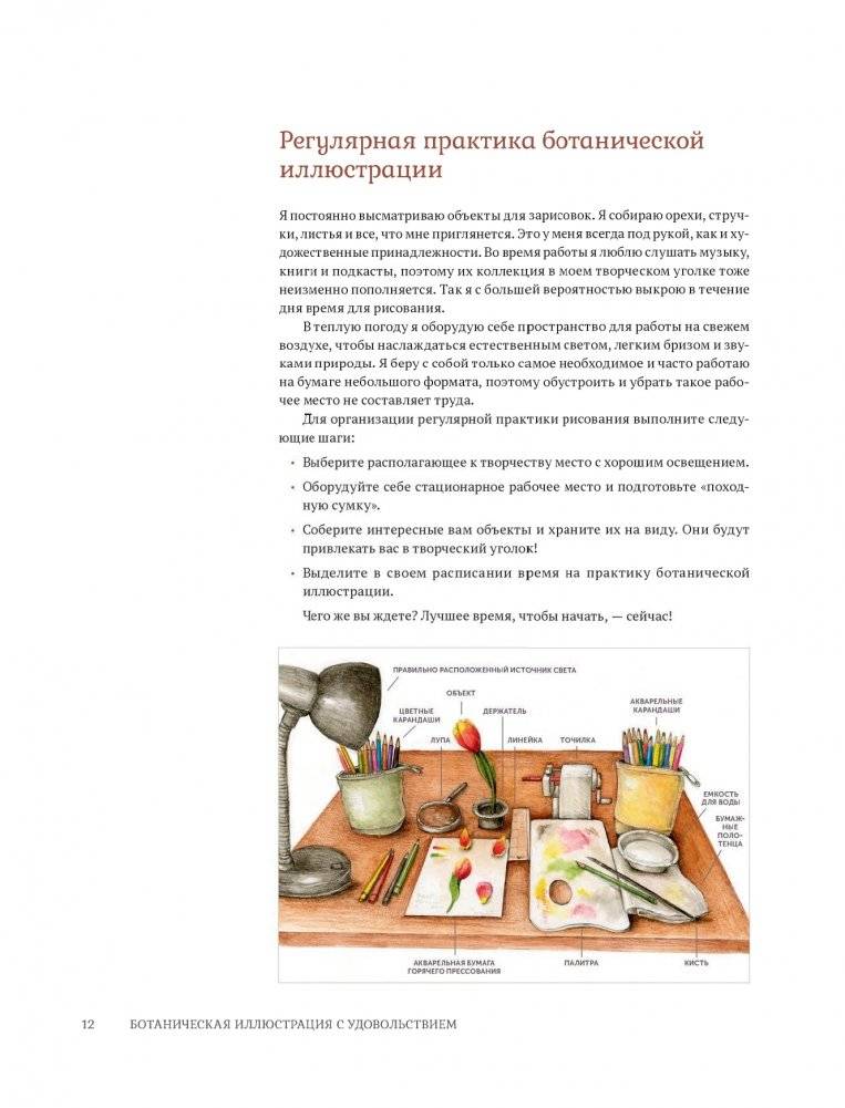 Ботаническая иллюстрация с удовольствием. Пошаговое руководство по изображению цветов, листьев, плодов и других элементов растений фото книги 10
