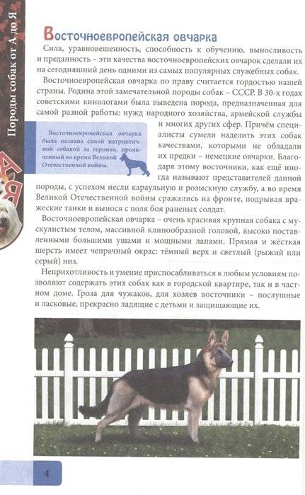 Породы собак от А до Я фото книги 3