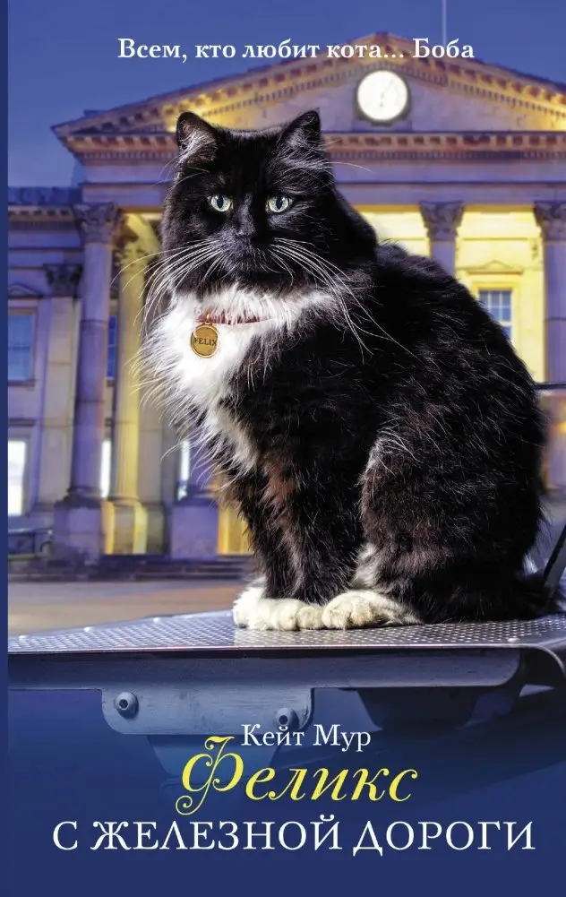 Феликс с железной дороги фото книги