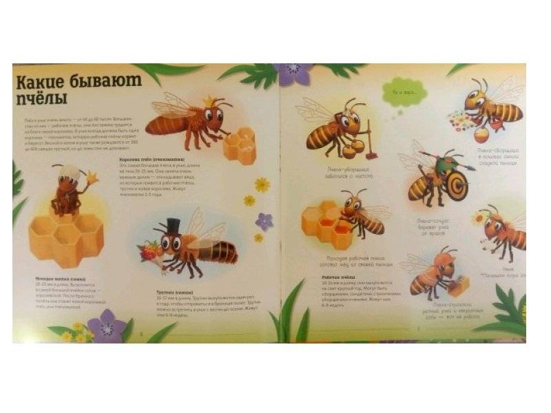 Улей. Как живут пчёлы? фото книги 4