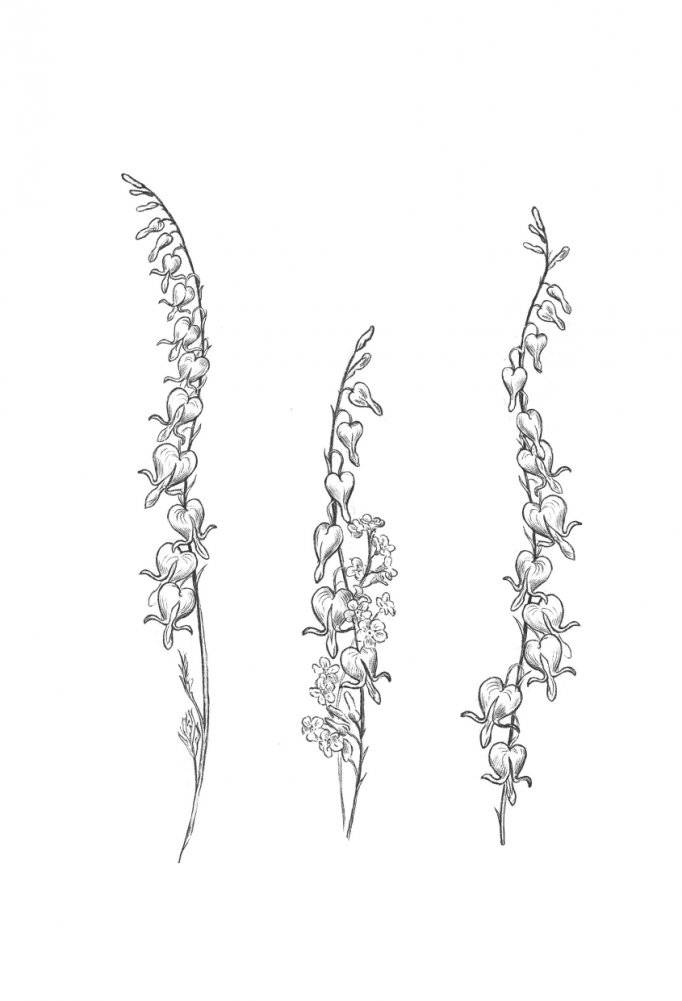 Целься в сердце фото книги 3