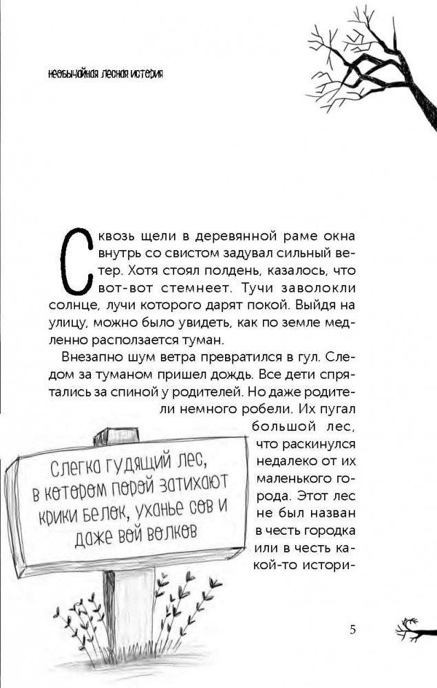 Мальчик с угрюмым лицом, или необычайная лесная история фото книги 7
