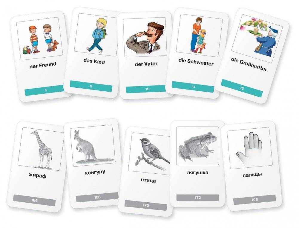 Мои первые немецкие слова. 333 карточки для запоминания фото книги 3