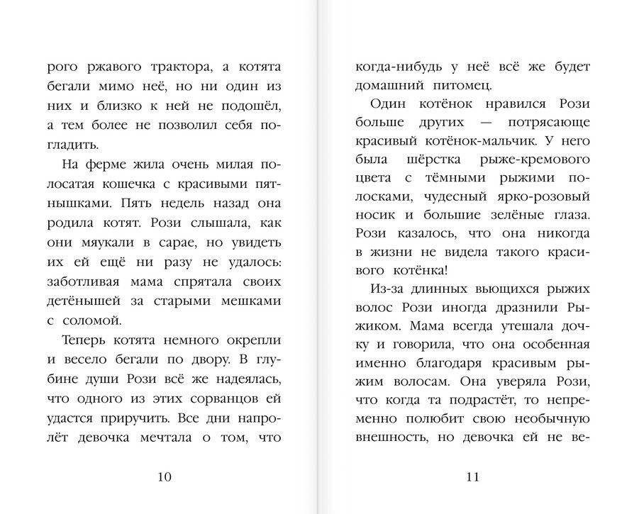 Котёнок Рыжик, или Как найти сокровище фото книги 7