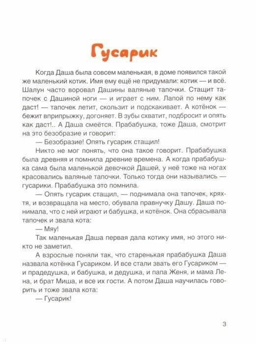 Приключения семейного кота Гусарика фото книги 3