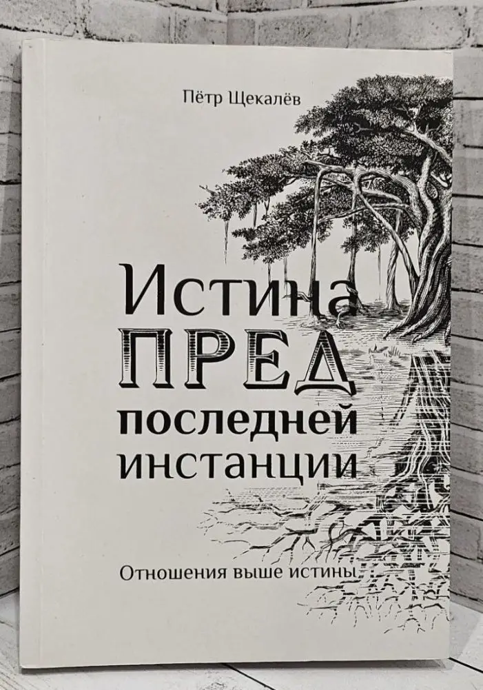 Истина предпоследней инстанции. Отношения выше истины фото книги