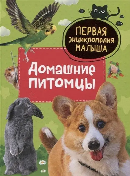 Домашние питомцы. Первая энциклопедия малыша фото книги