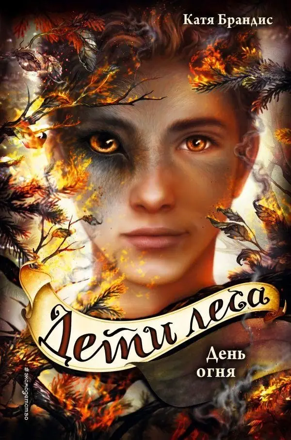День огня фото книги