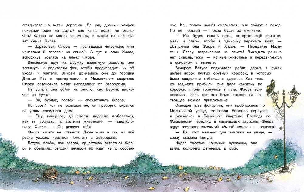 Маленькая ведьмочка Флора. Большой колдовской ураган фото книги 3