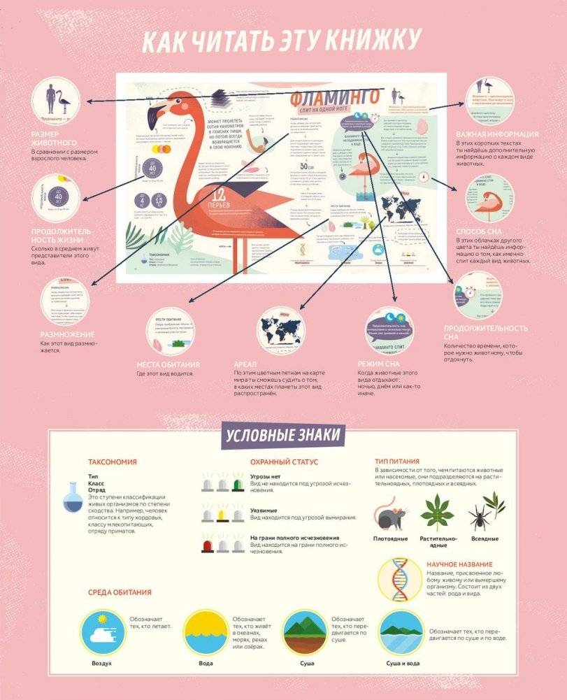 Как спит пчела? Удивительные факты о животных и их суперспособностях фото книги 3