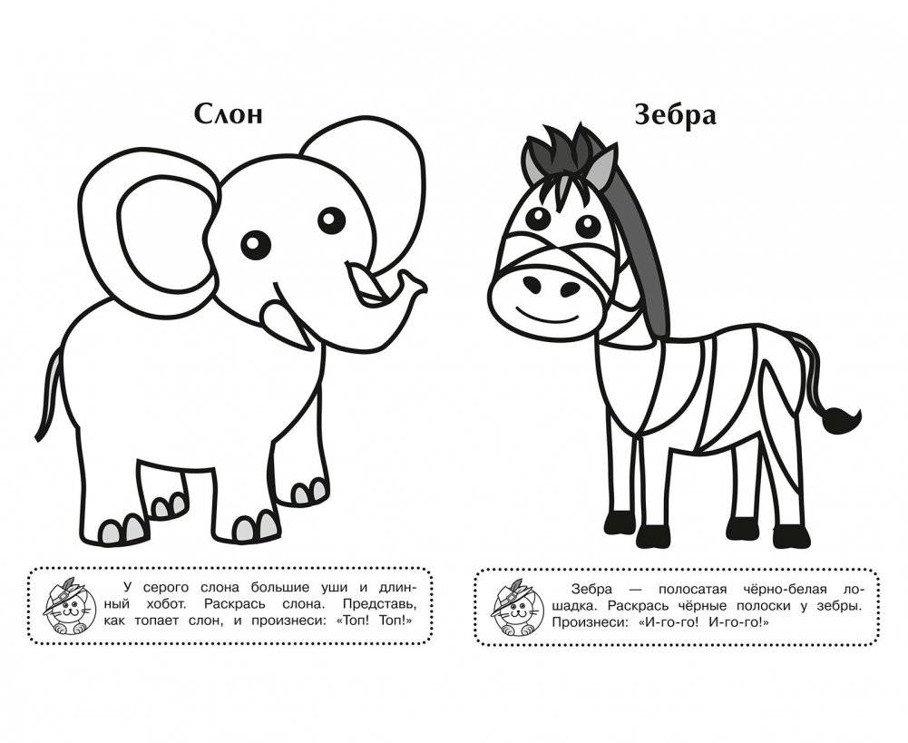 Лев фото книги 2