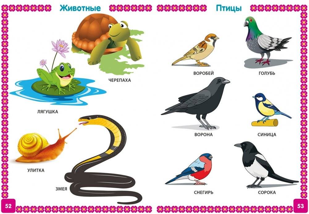 Энциклопедия для детей от 6 месяцев до 3 лет фото книги 6