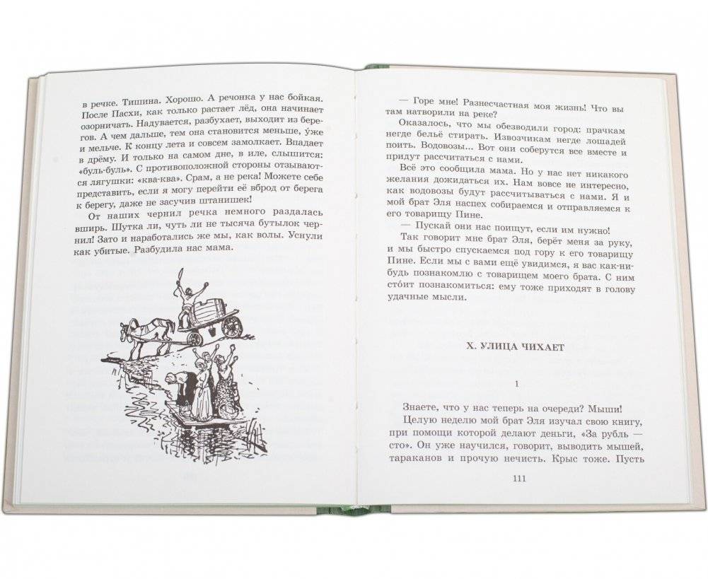 Мальчик Мотл фото книги 6