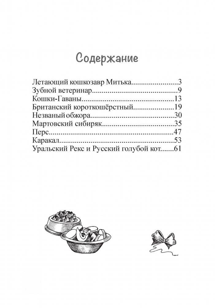 Летающий кошкозавр Митька фото книги 10