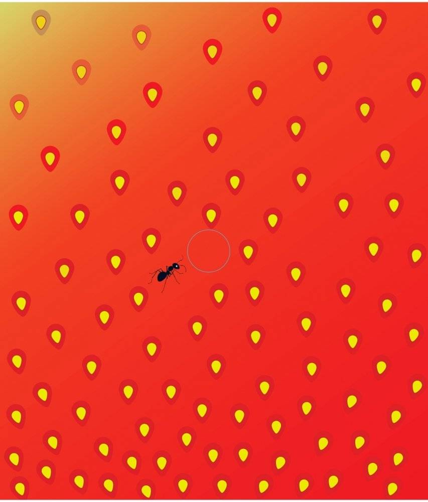 Что за фрукт? фото книги 9