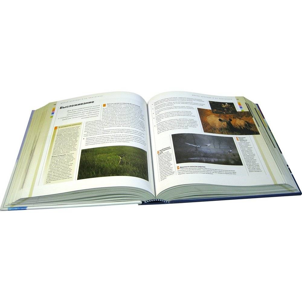 Цифровая фотография. Полное практическое руководство фото книги 8